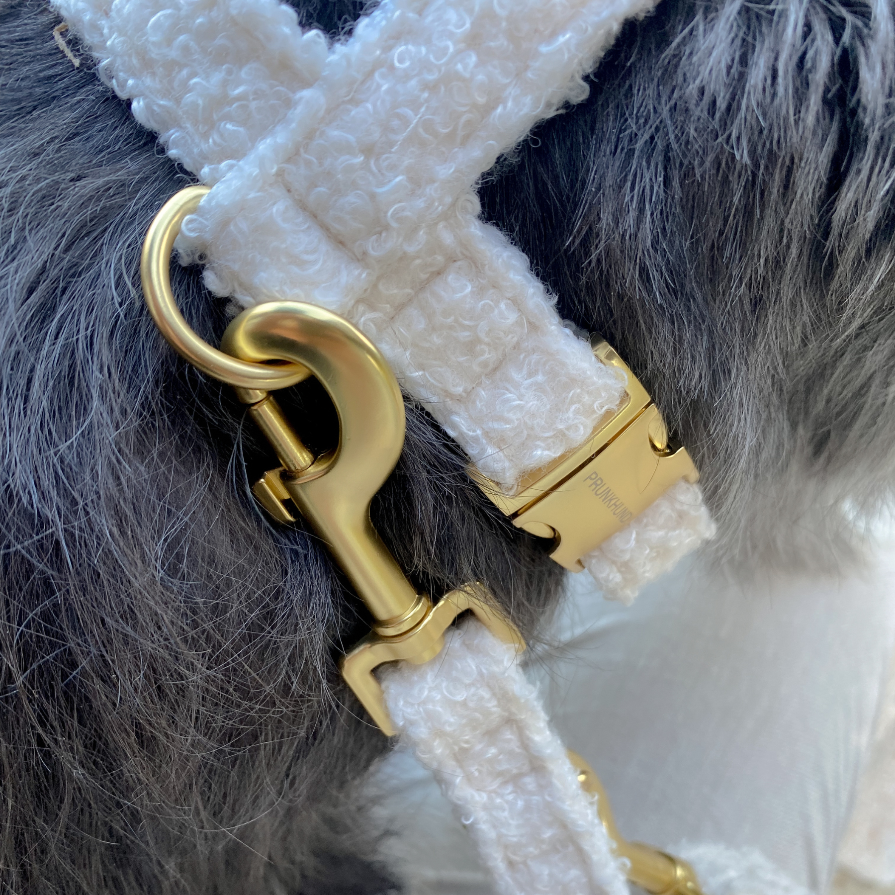 TEDDY cream leash