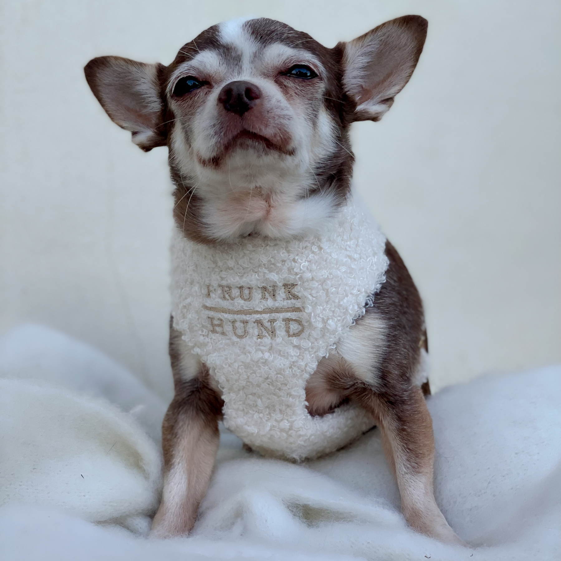 TEDDY cream soft harness