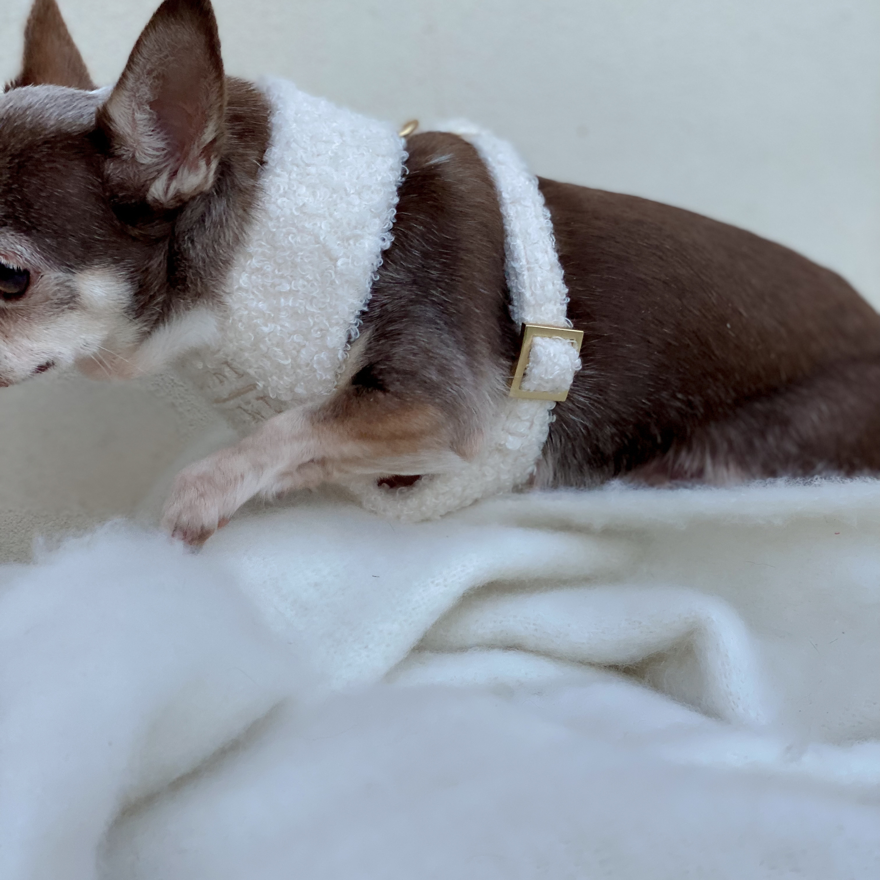 TEDDY cream soft harness