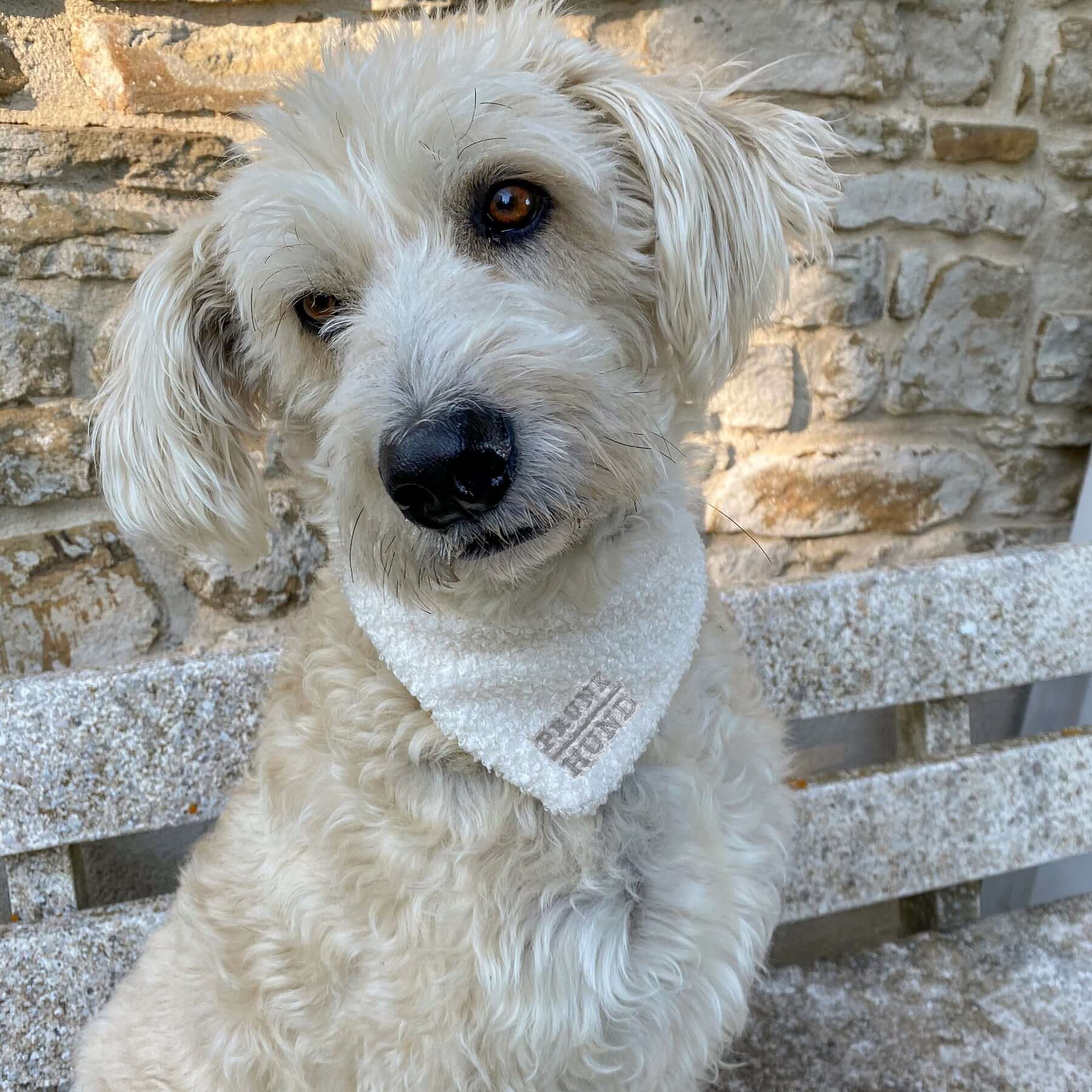 Hundehalstuch TEDDY cream