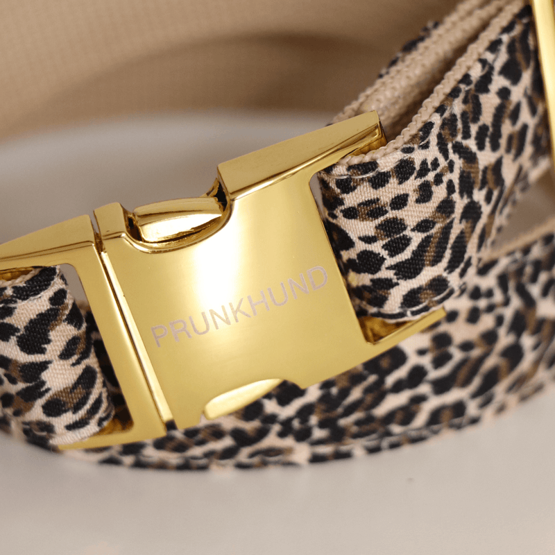 Dog collar WILD LIFE in Leo pattern Prunkhund