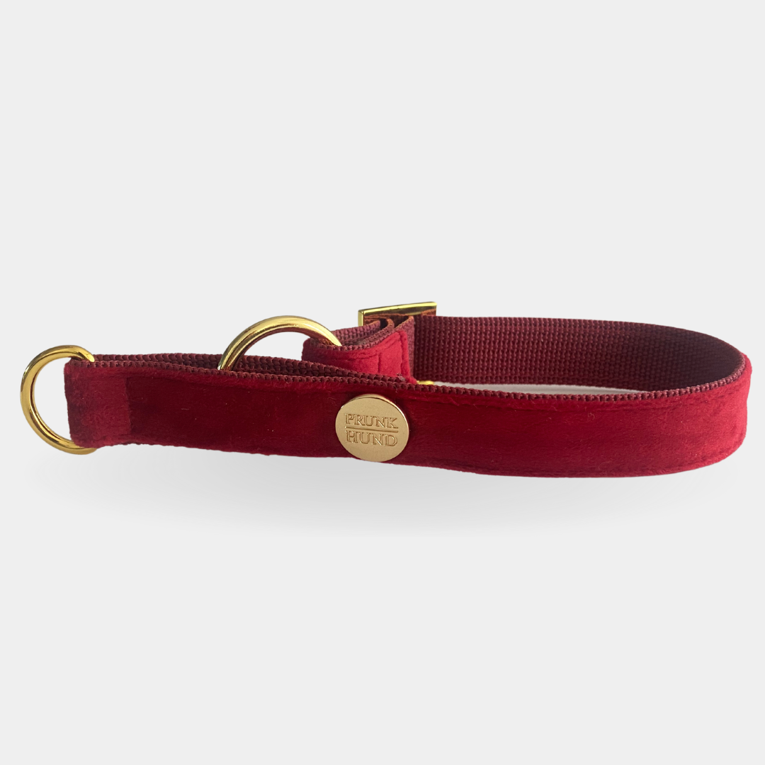 Zugstopp Halsband SANTA BABY