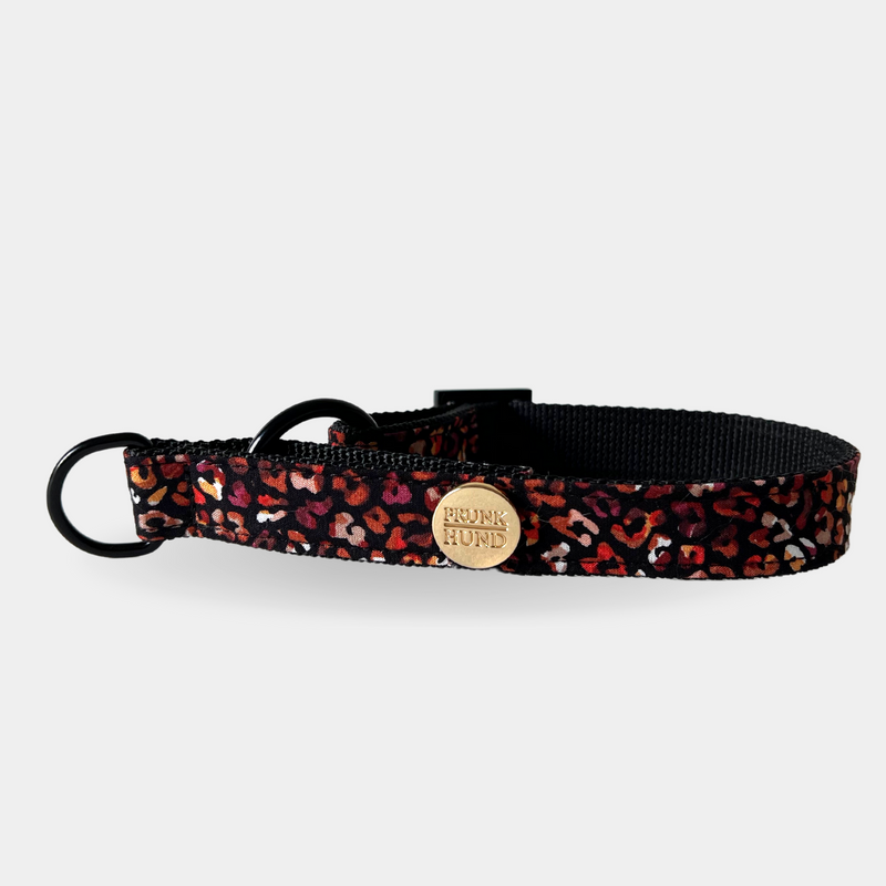 Maroon clearance dog collar