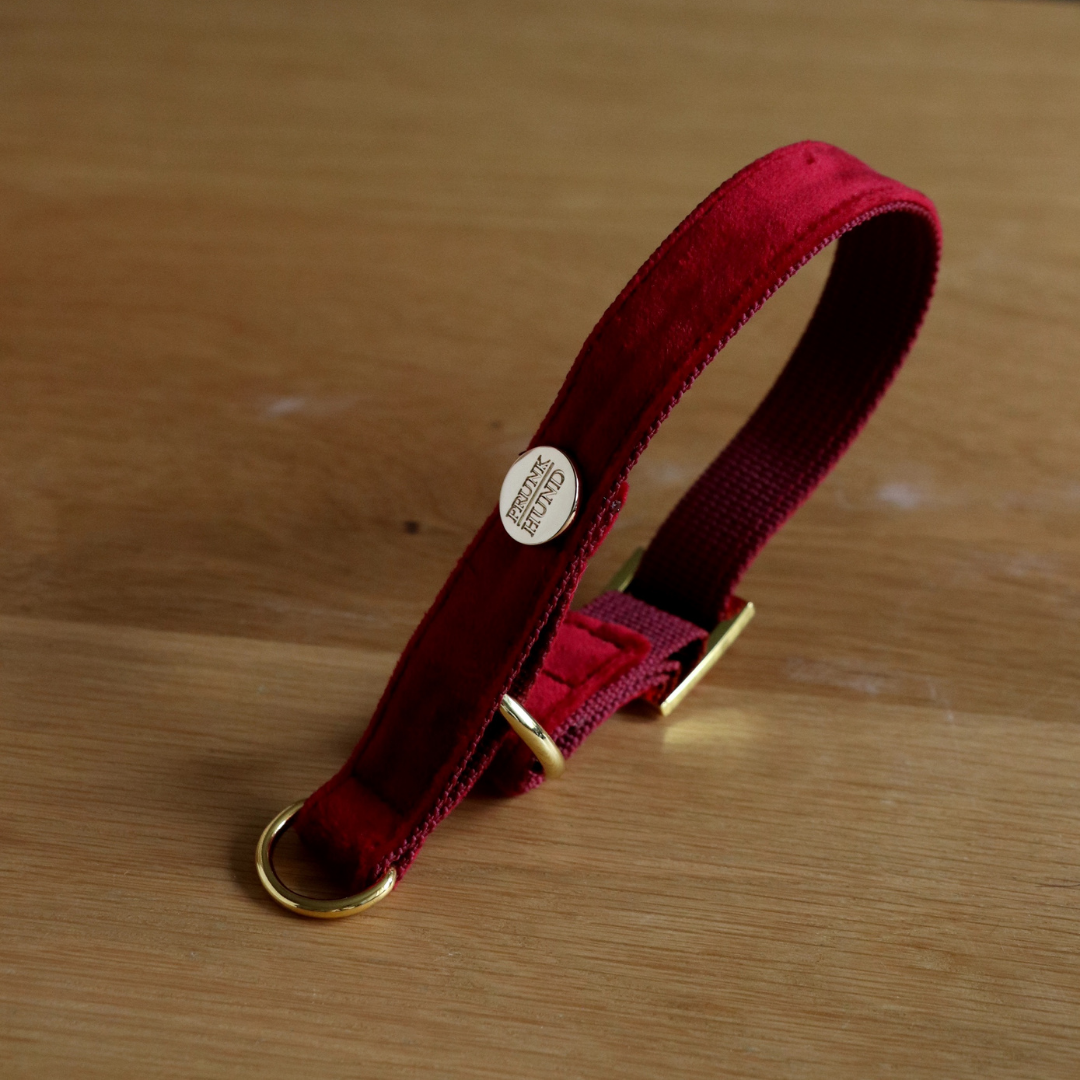 Zugstopp Halsband SANTA BABY