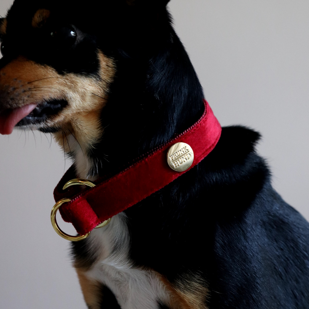 Zugstopp Halsband SANTA BABY